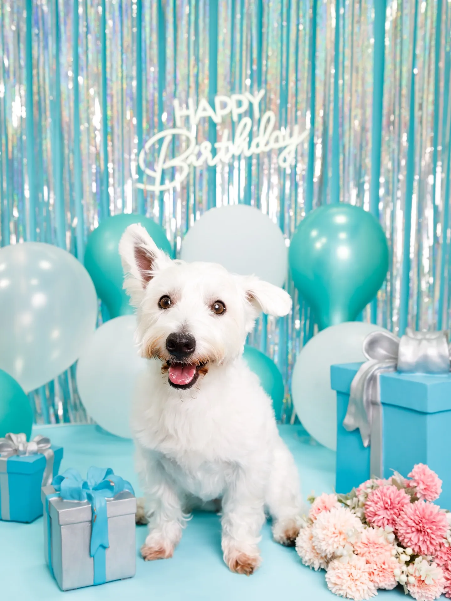 【Birthday Photobofth🗽-水色-】