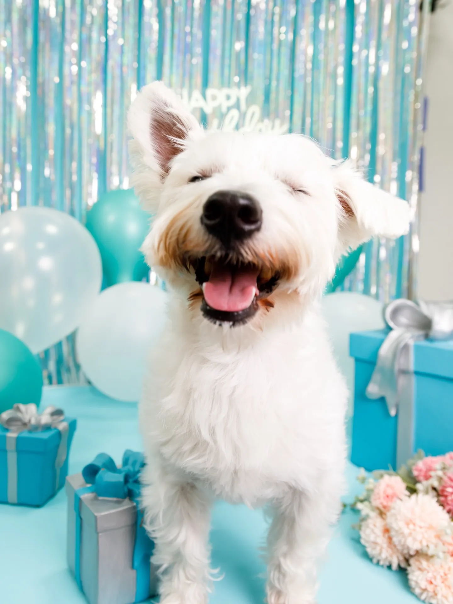 【Birthday Photobofth🗽-水色-】