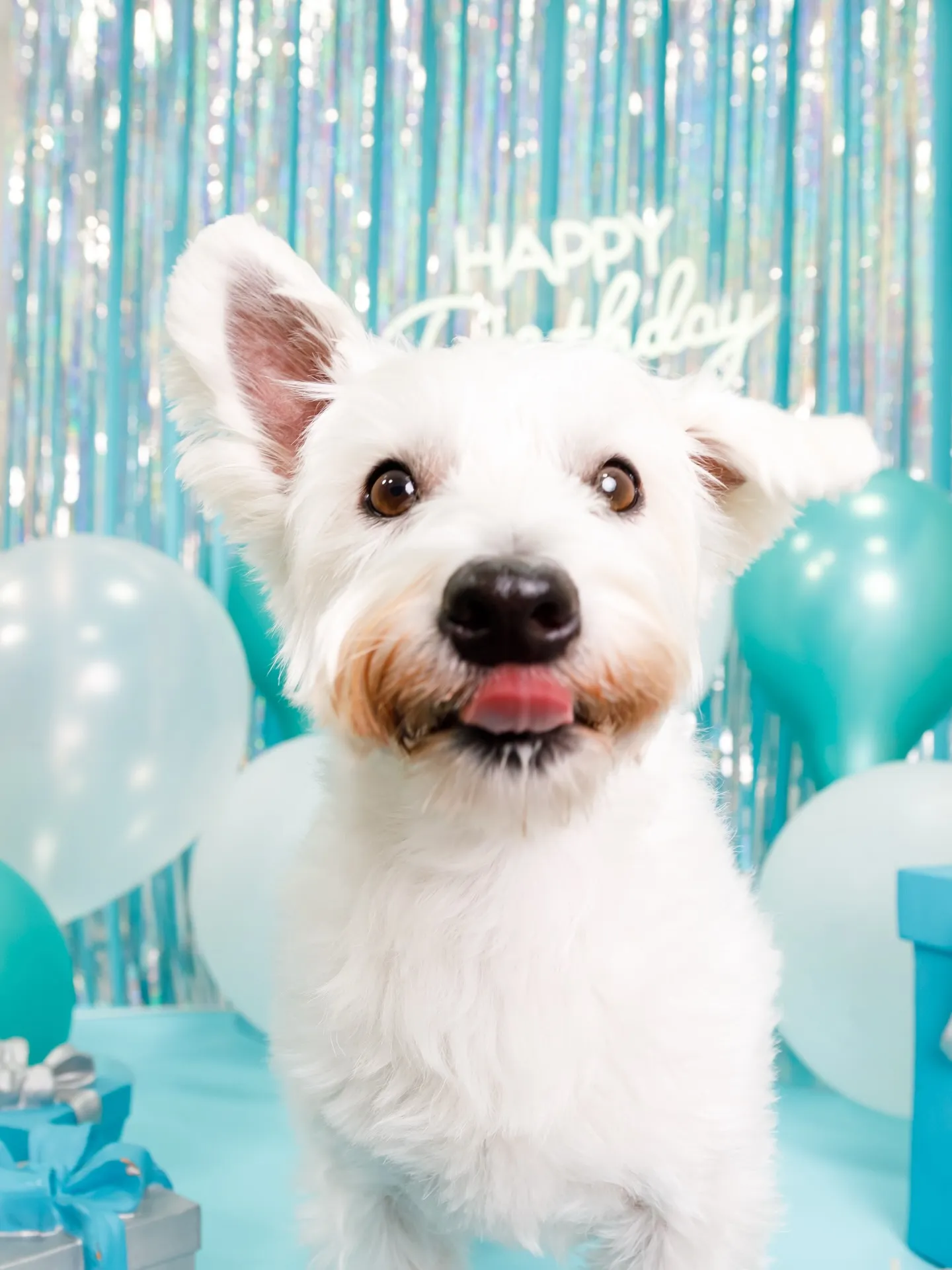 【Birthday Photobofth🗽-水色-】