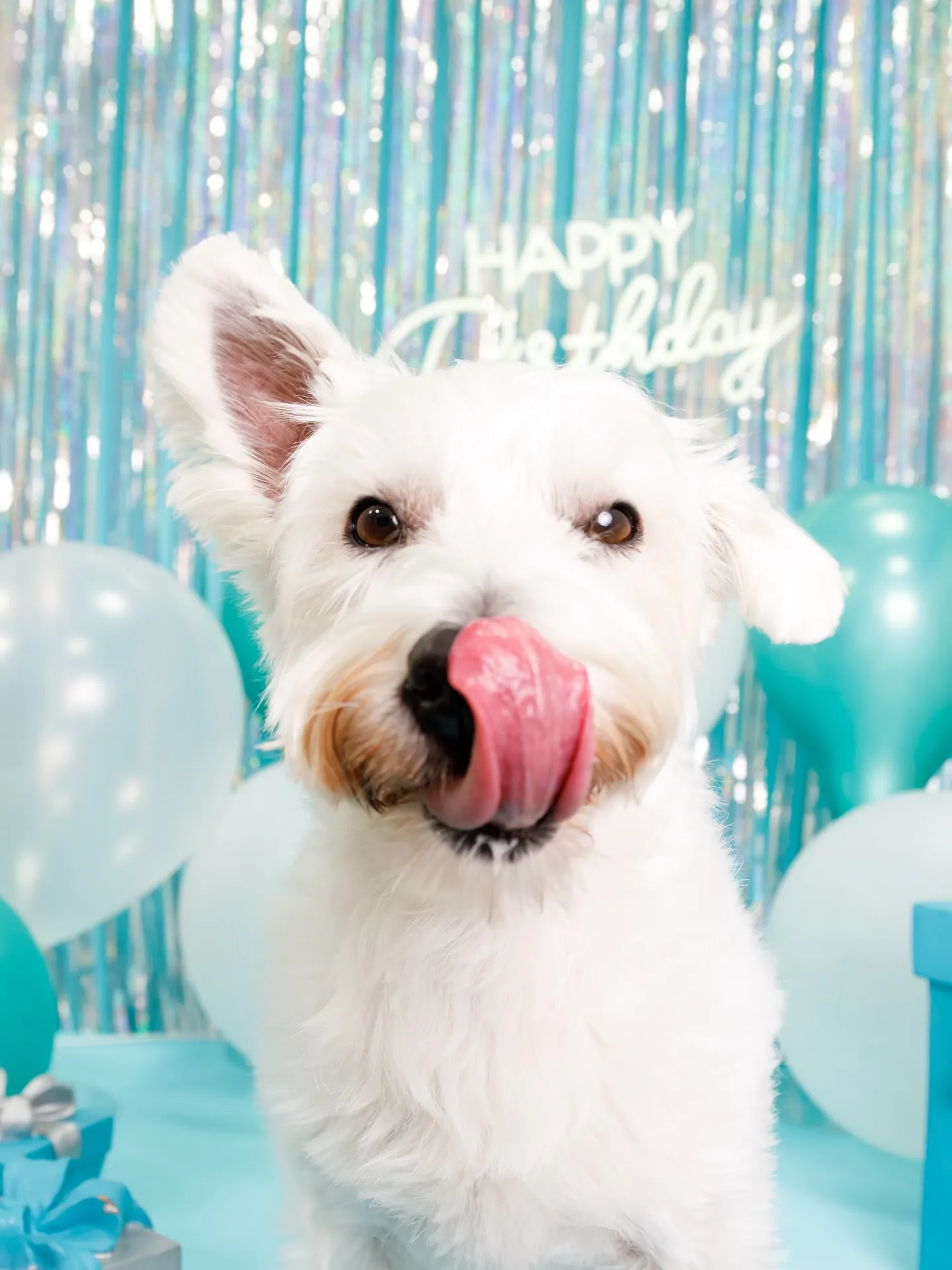 【Birthday Photobofth🗽-水色-】