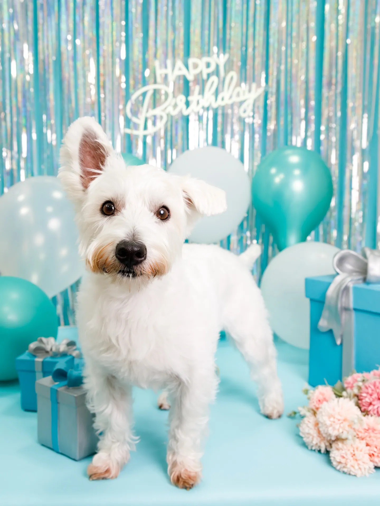 【Birthday Photobofth🗽-水色-】