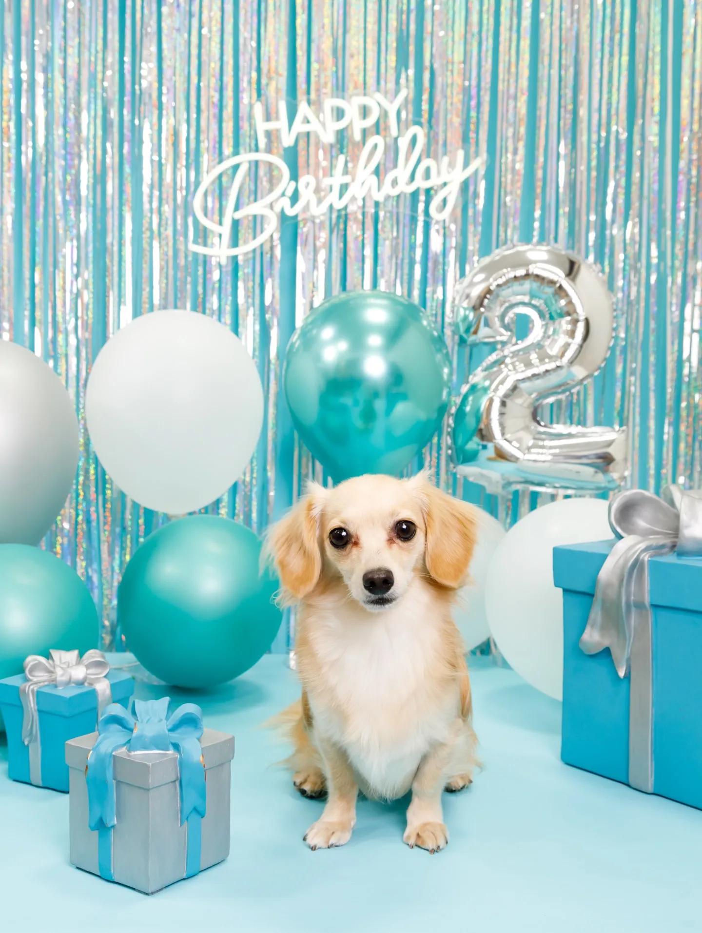 【Birthday Photobofth🗽-水色-】