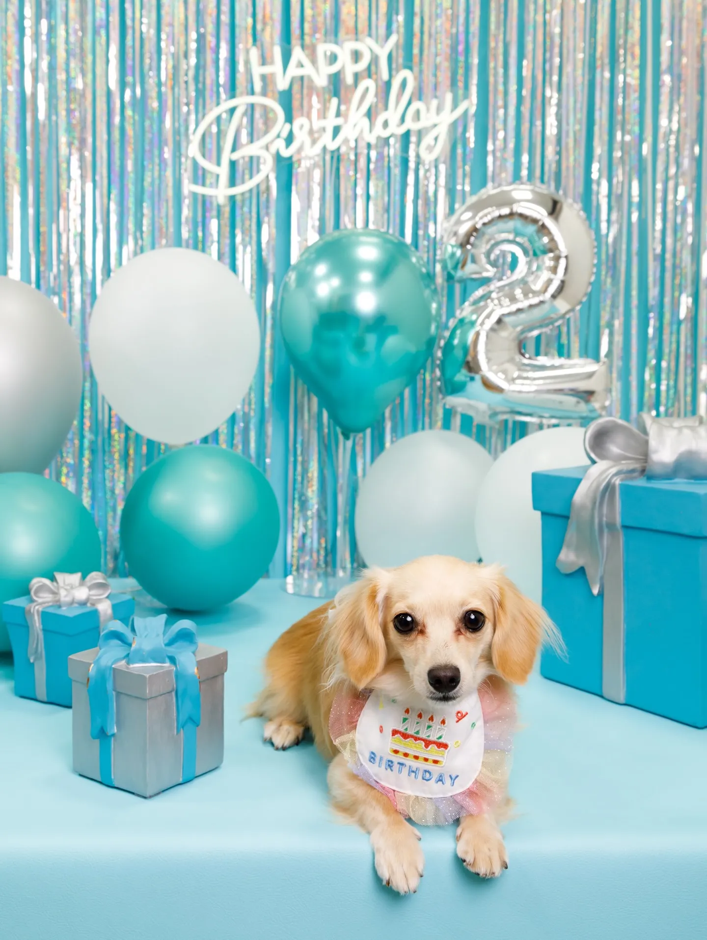 【Birthday Photobofth🗽-水色-】