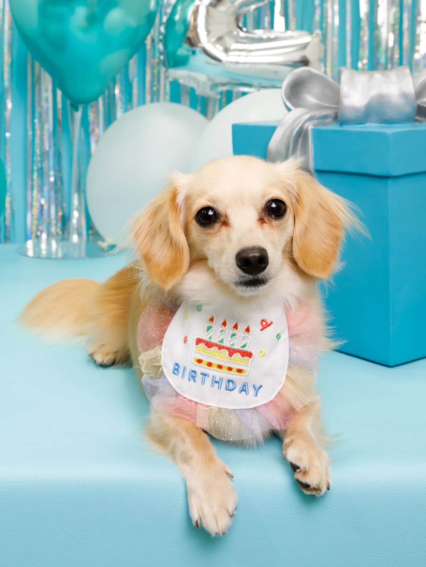 【Birthday Photobofth🗽-水色-】