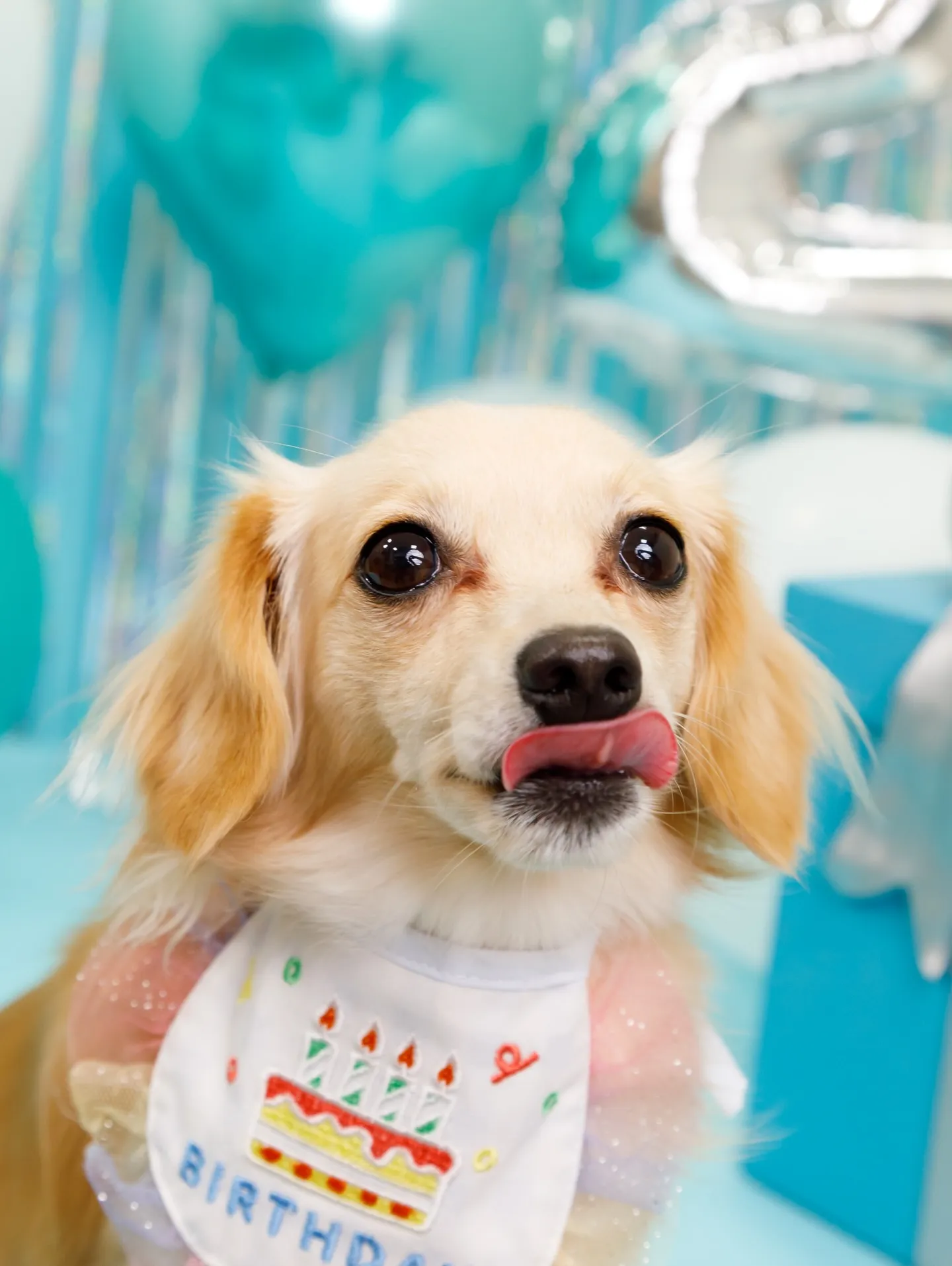 【Birthday Photobofth🗽-水色-】