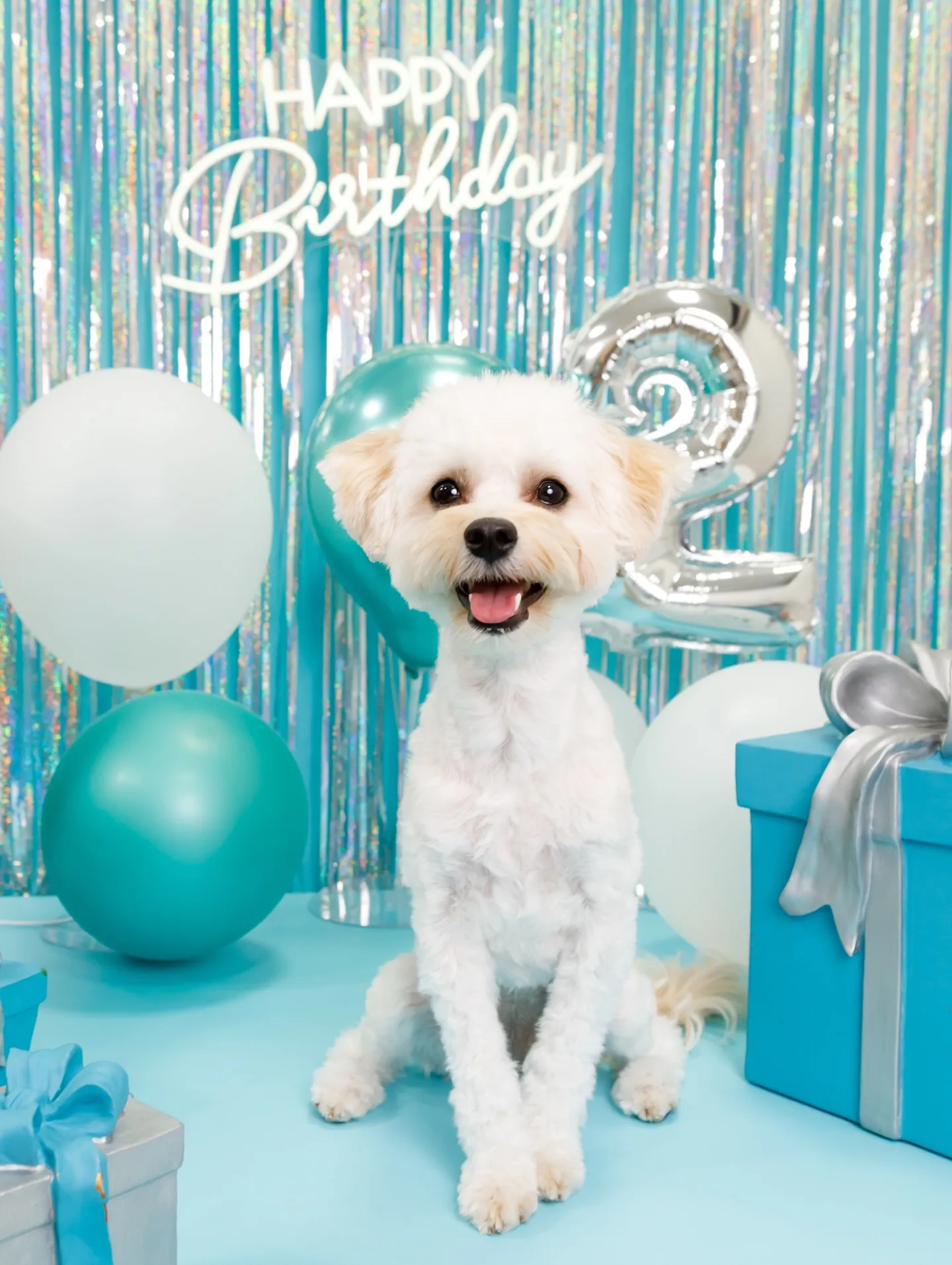 【Birthday Photobofth🗽-水色-】