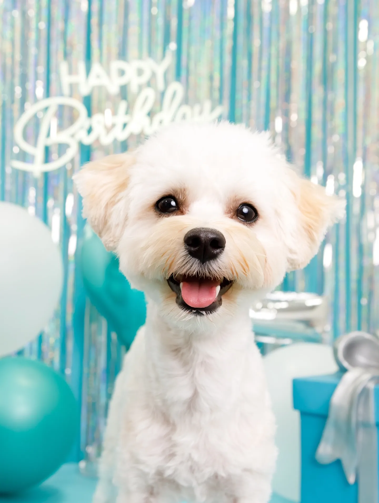 【Birthday Photobofth🗽-水色-】