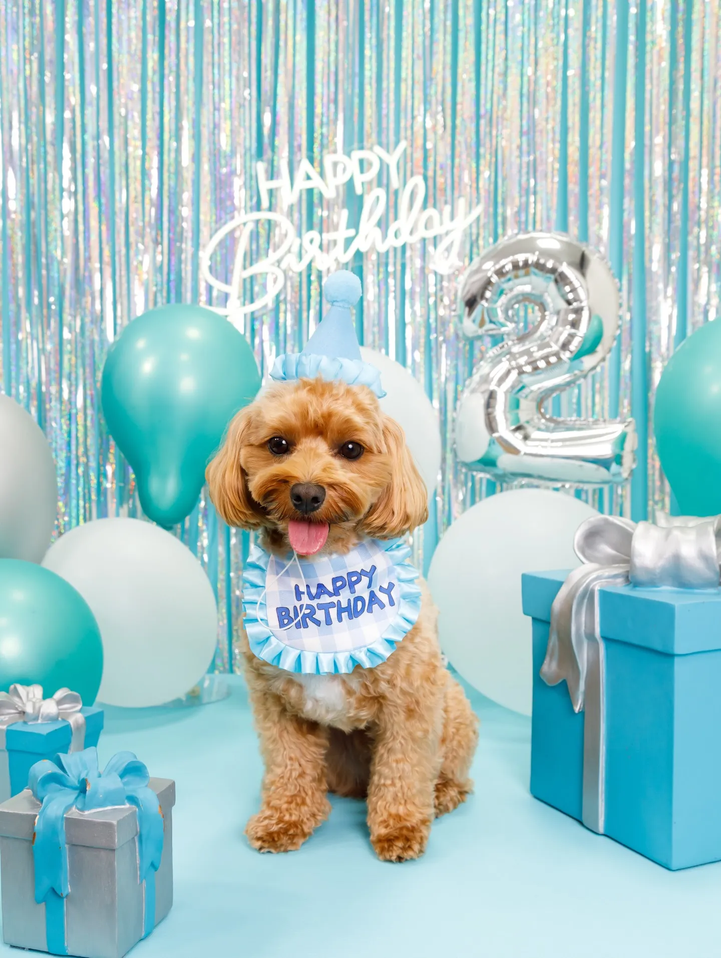 【Birthday Photobofth🗽-水色-】