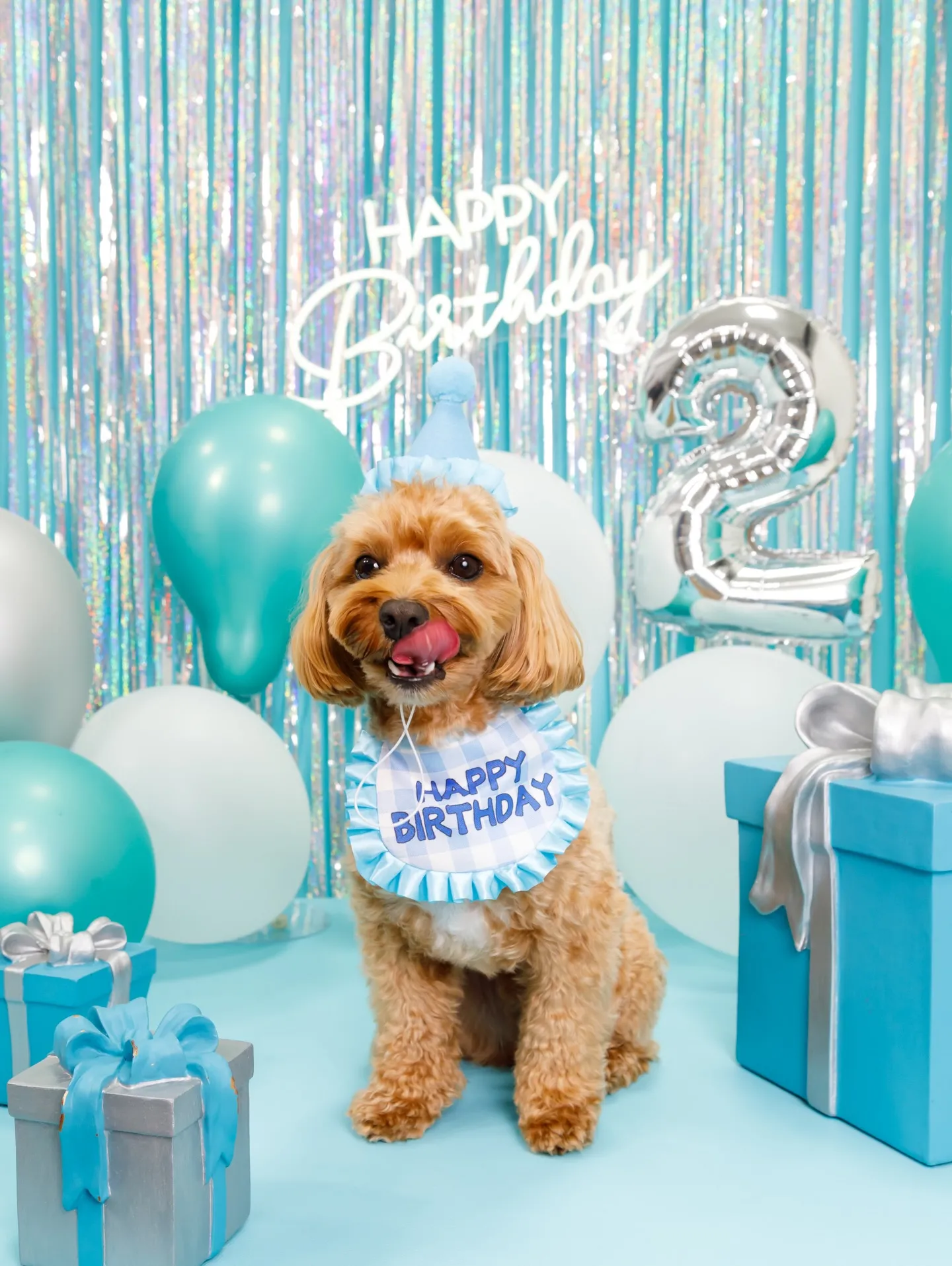 【Birthday Photobofth🗽-水色-】