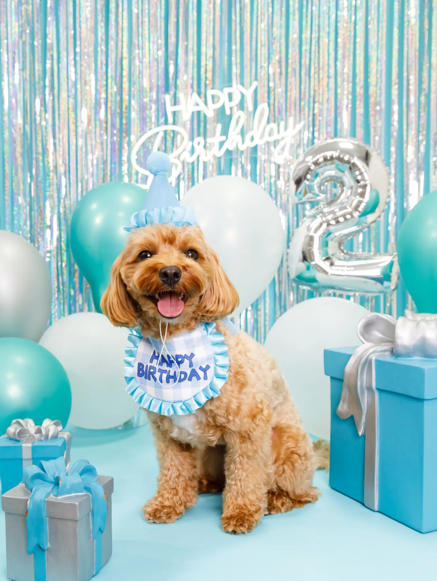 【Birthday Photobofth🗽-水色-】