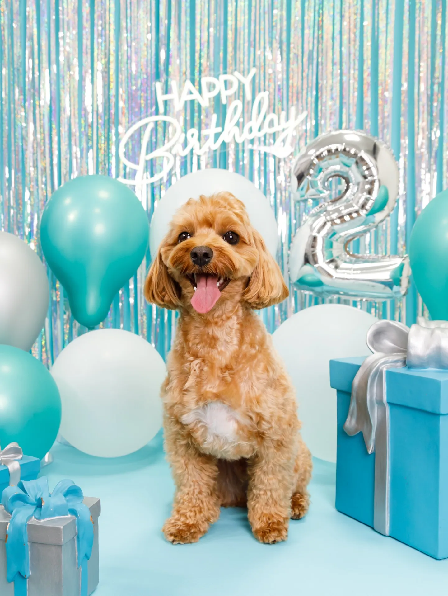 【Birthday Photobofth🗽-水色-】