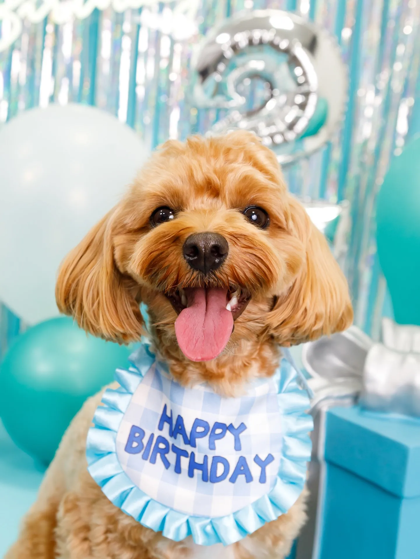 【Birthday Photobofth🗽-水色-】