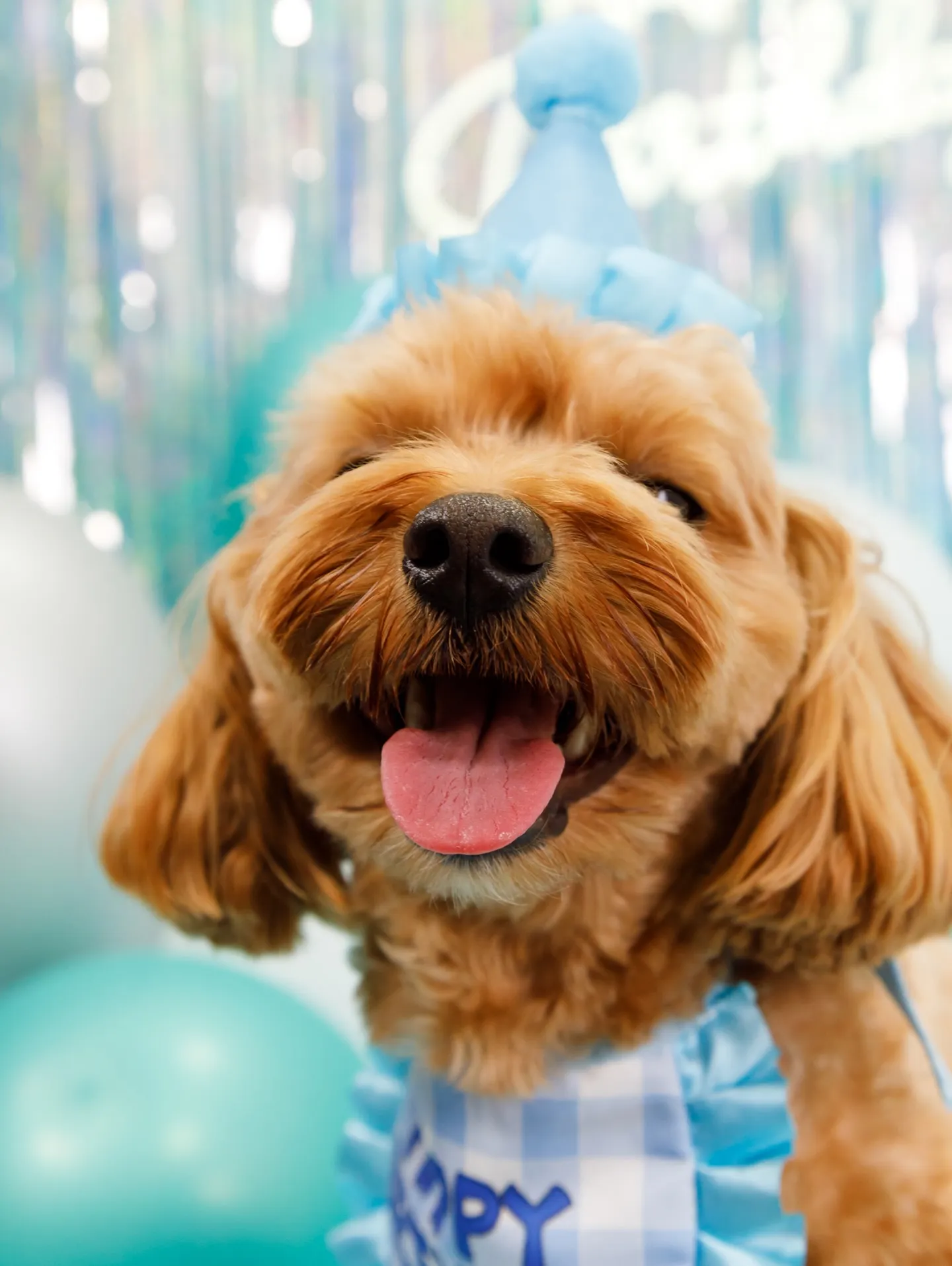 【Birthday Photobofth🗽-水色-】