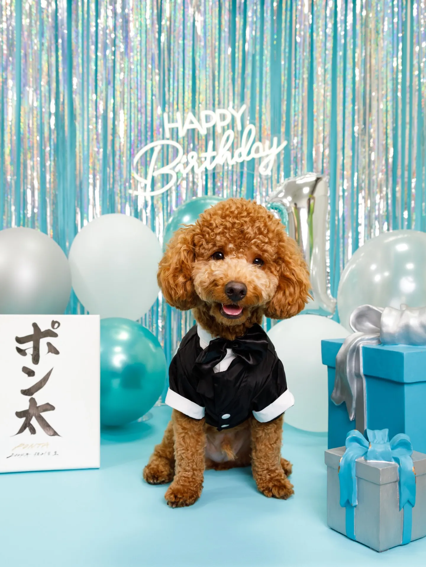 【Birthday Photobofth🗽-水色-】