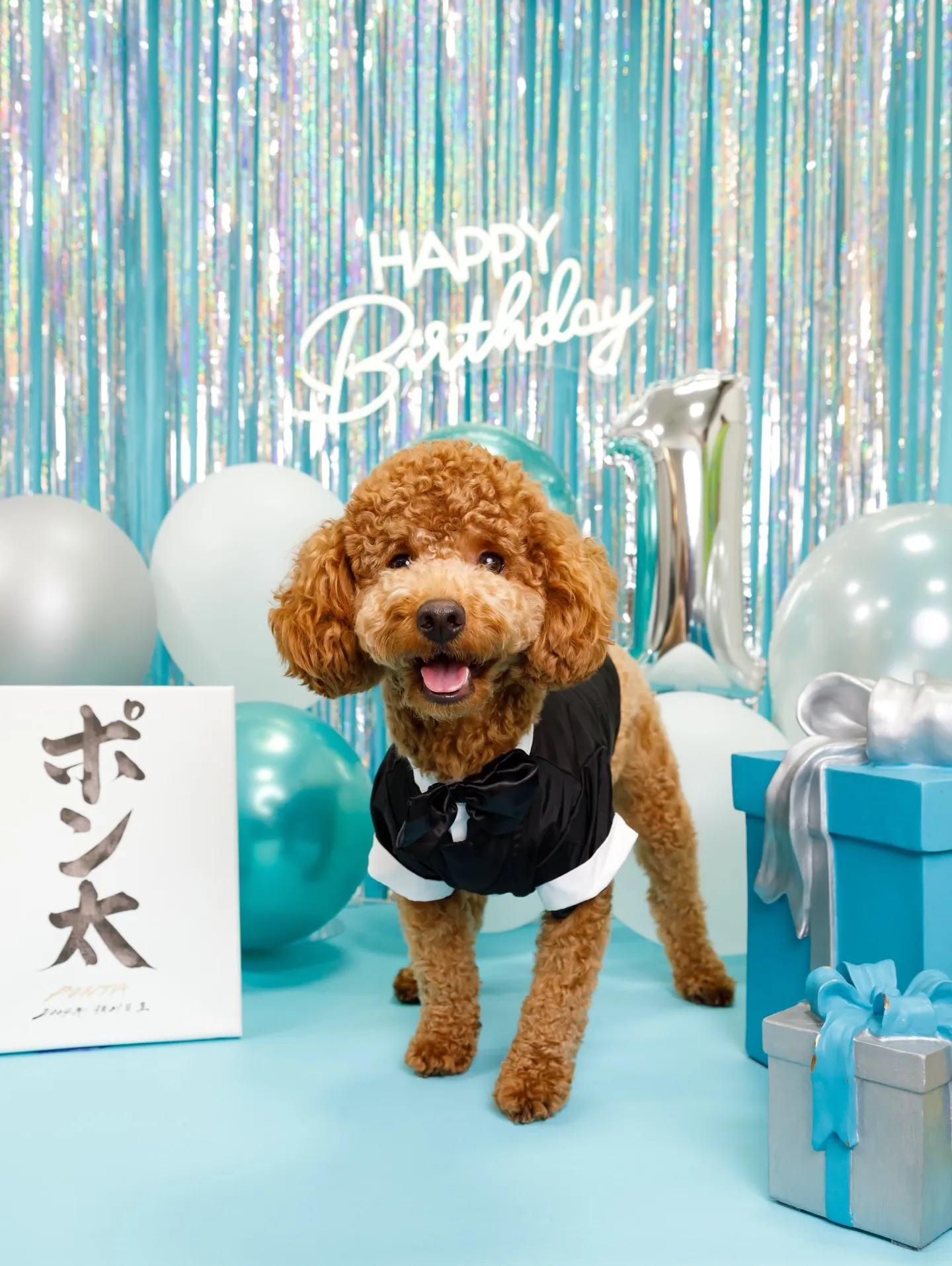 【Birthday Photobofth🗽-水色-】