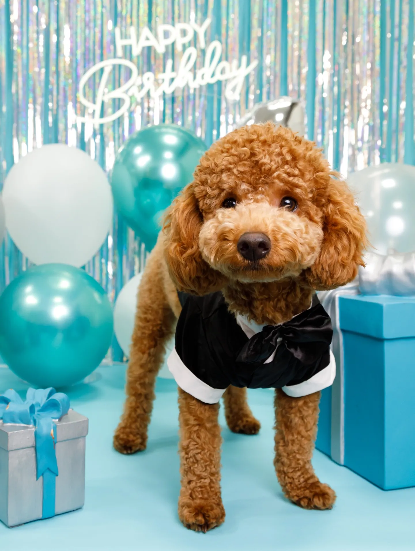 【Birthday Photobofth🗽-水色-】