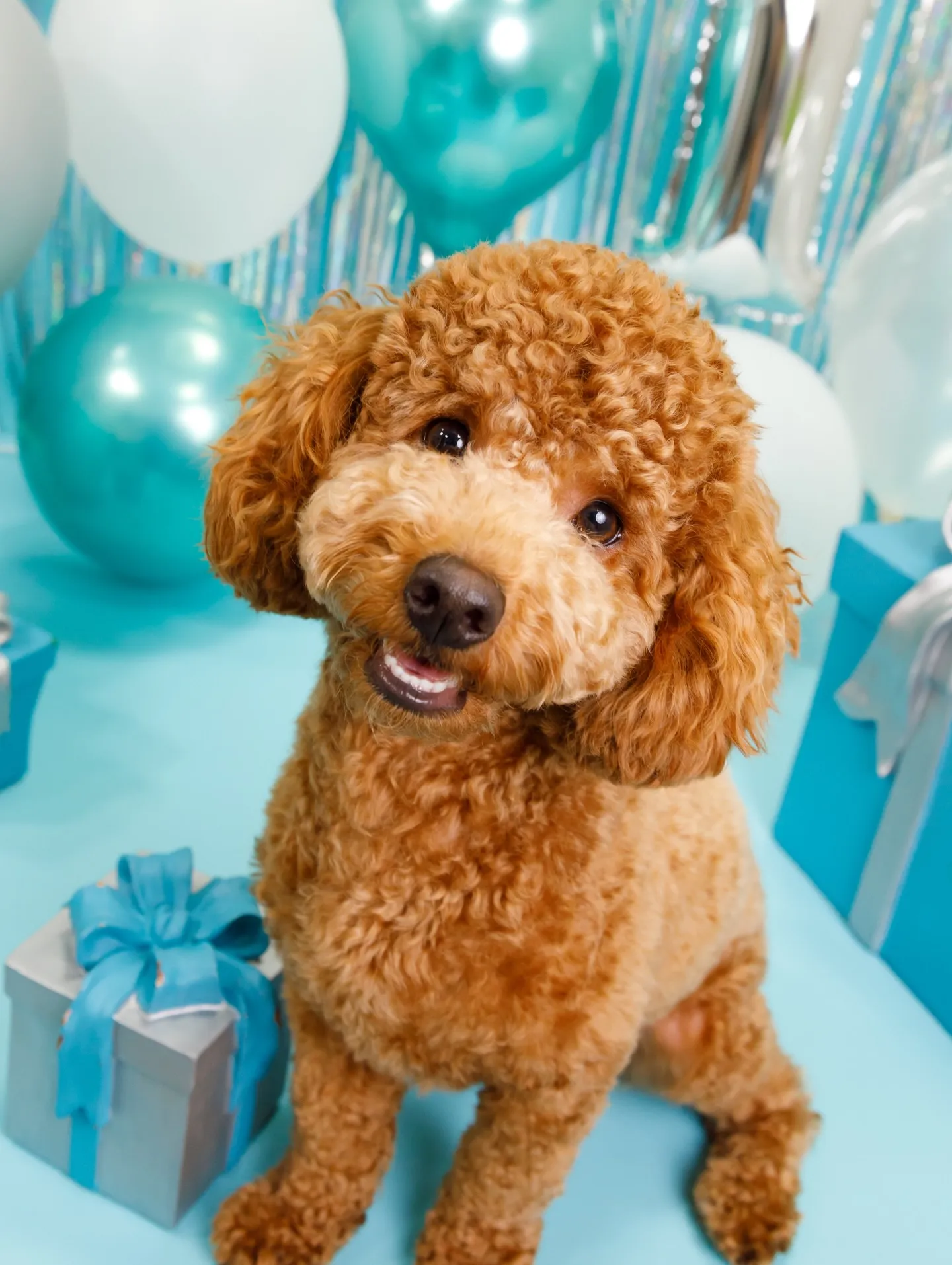 【Birthday Photobofth🗽-水色-】