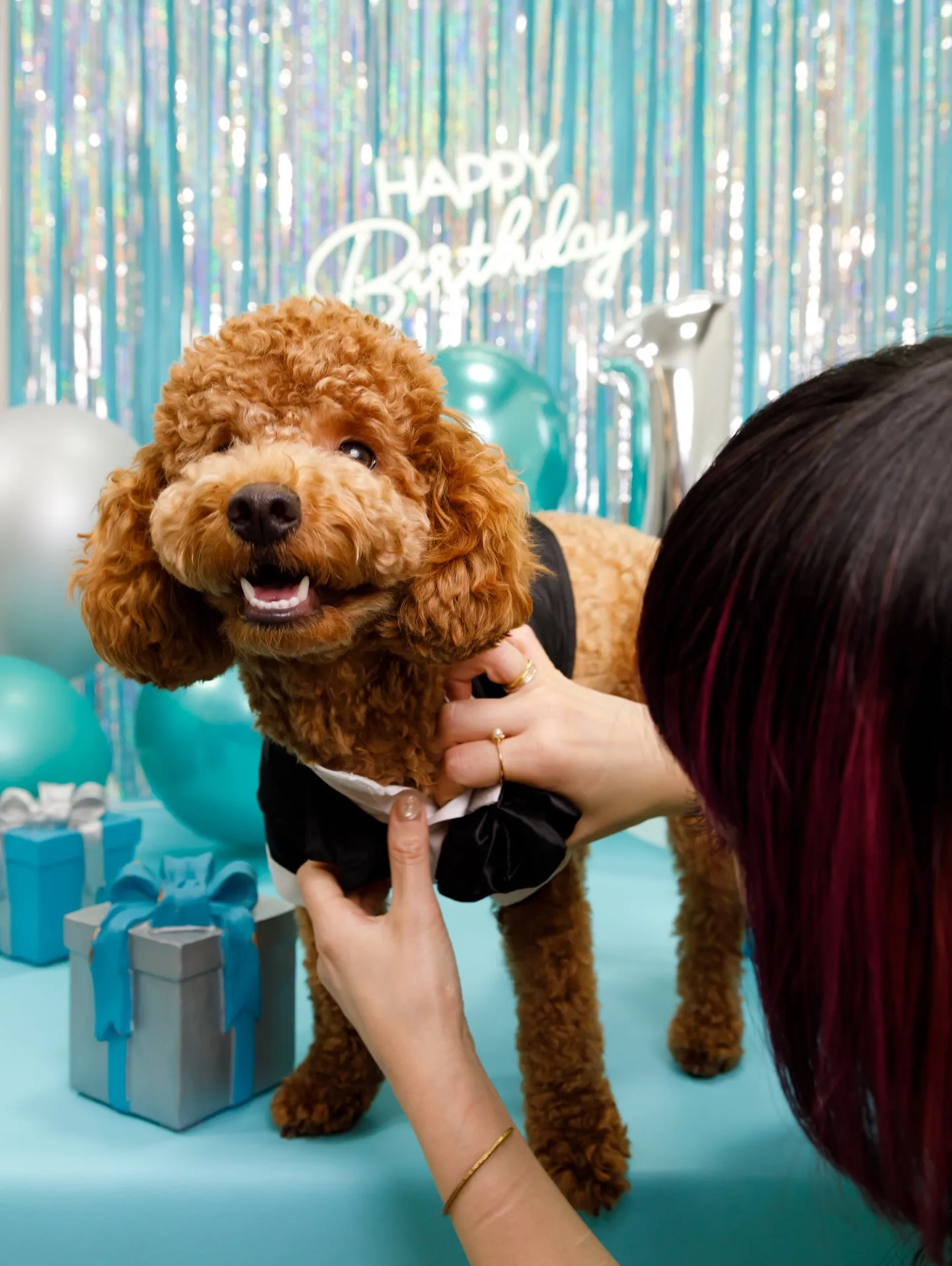 【Birthday Photobofth🗽-水色-】