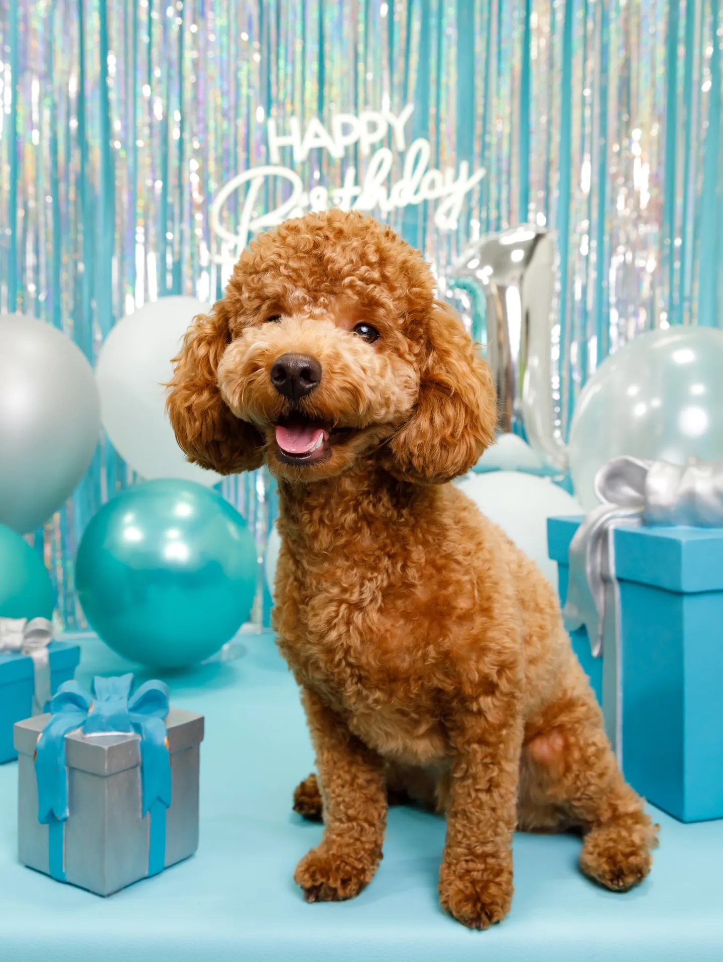 【Birthday Photobofth🗽-水色-】