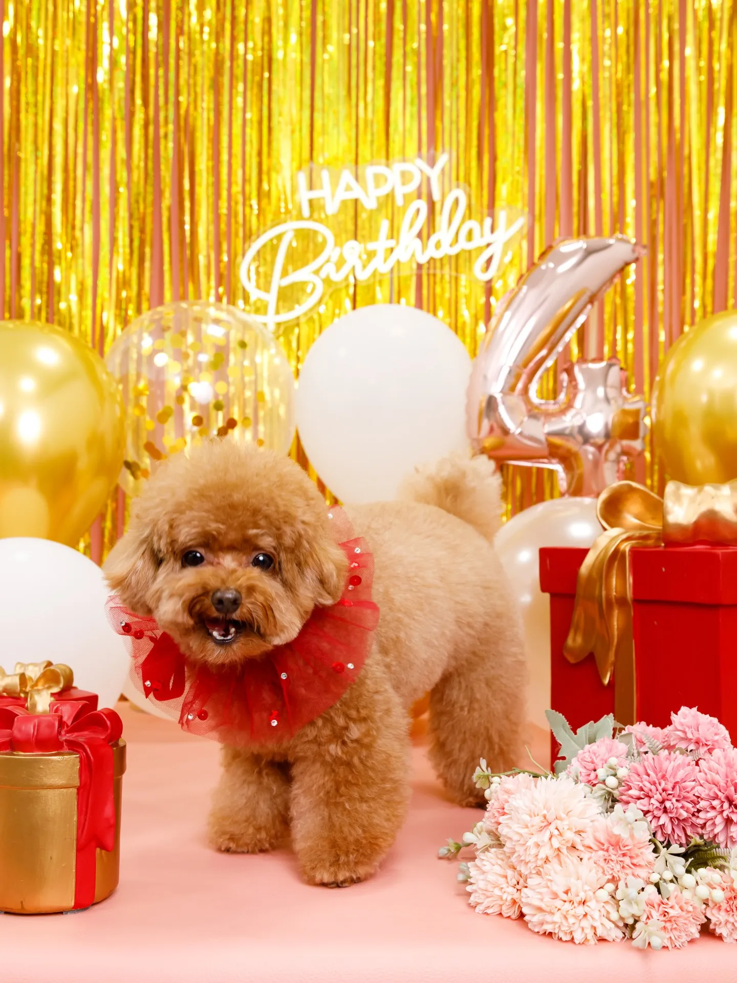 【Birthday Photobofth🌸-ピンク-】