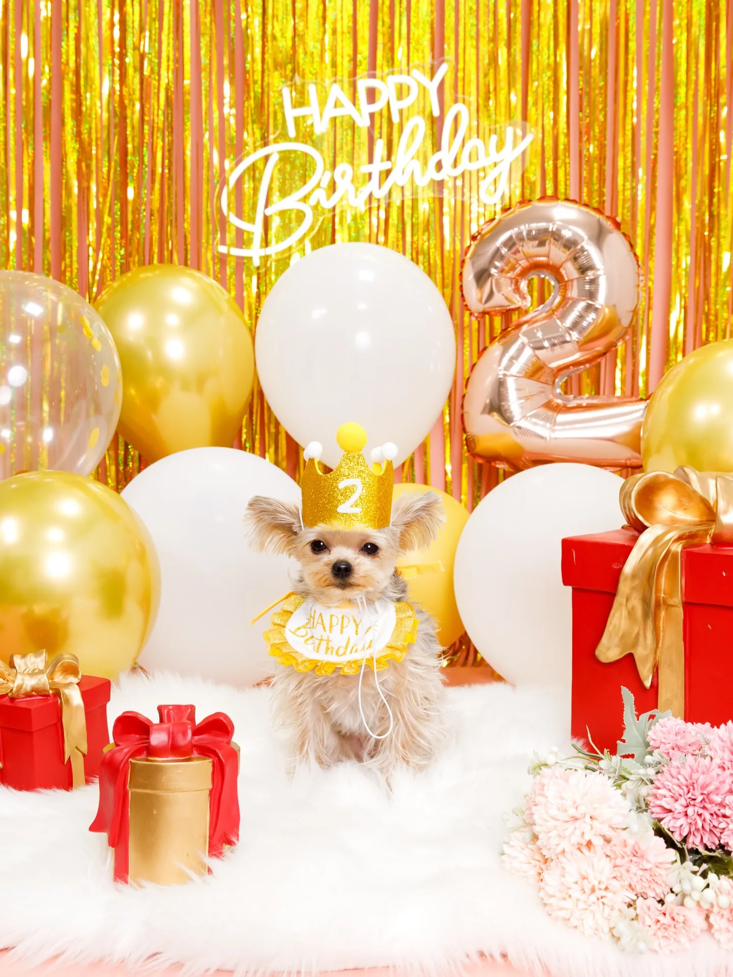 【Birthday Photobofth🌸-ピンク-】