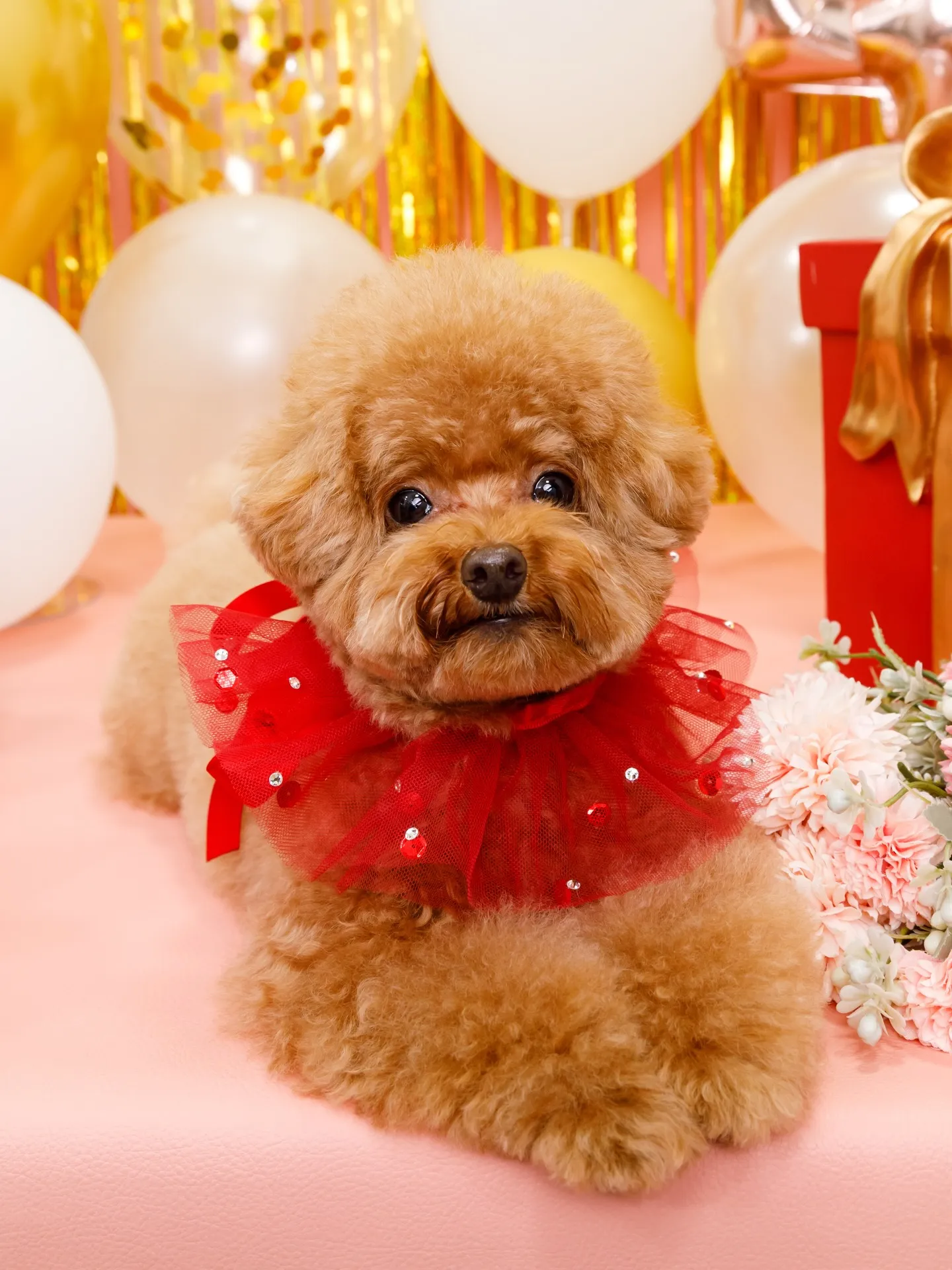 【Birthday Photobofth🌸-ピンク-】