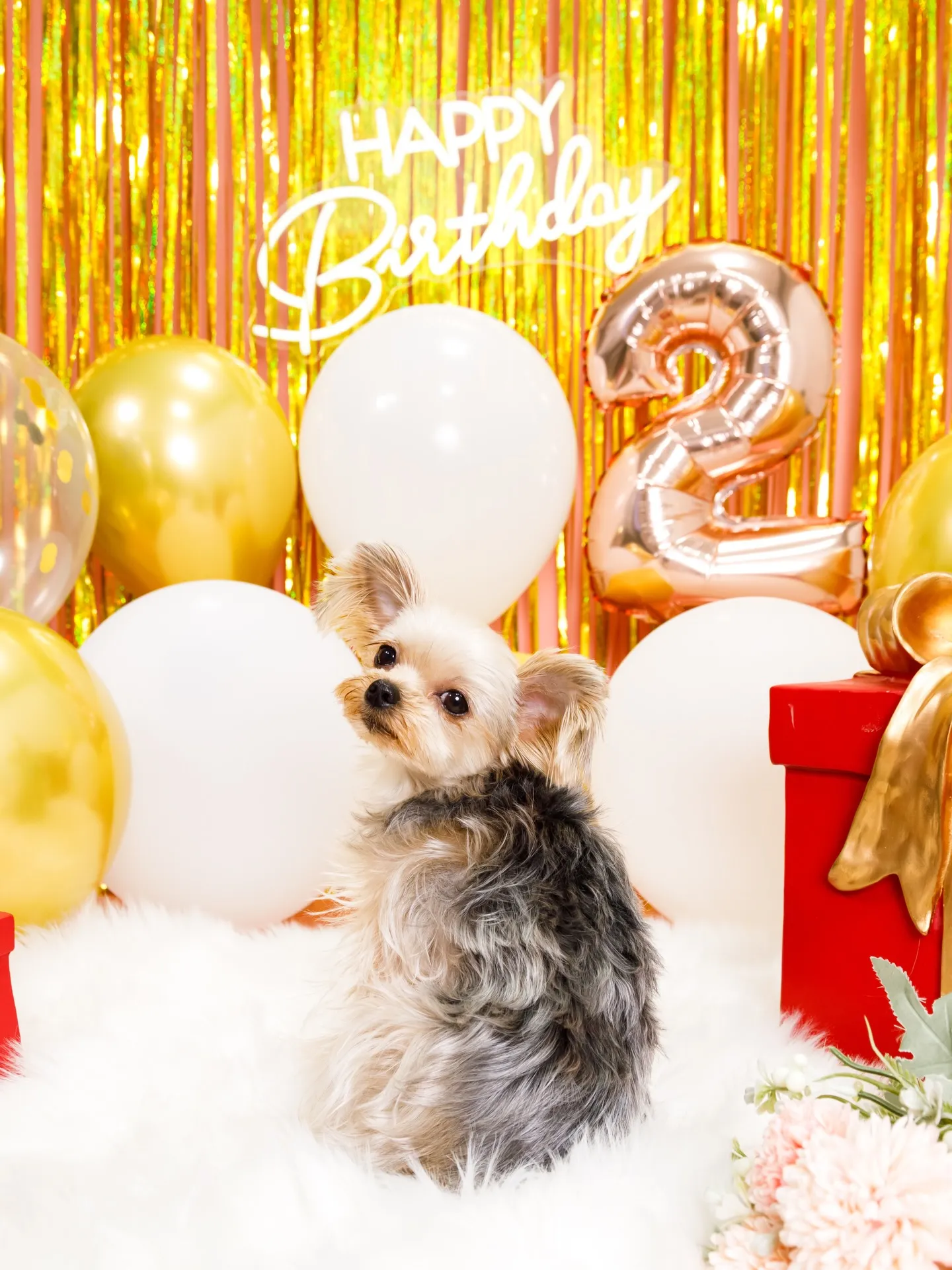 【Birthday Photobofth🌸-ピンク-】