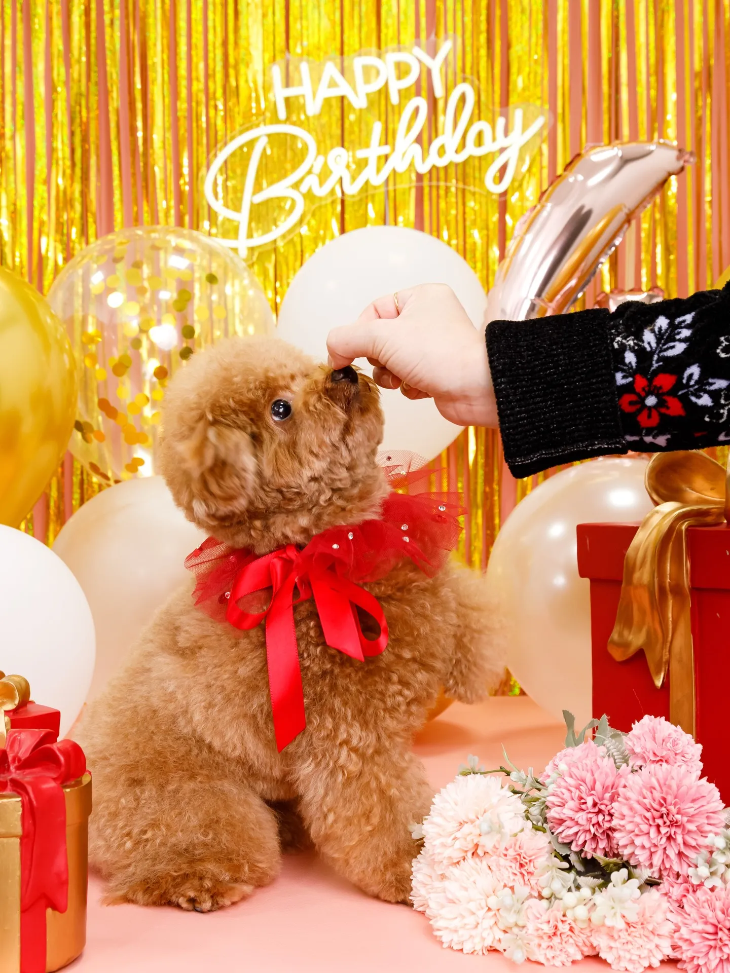 【Birthday Photobofth🌸-ピンク-】