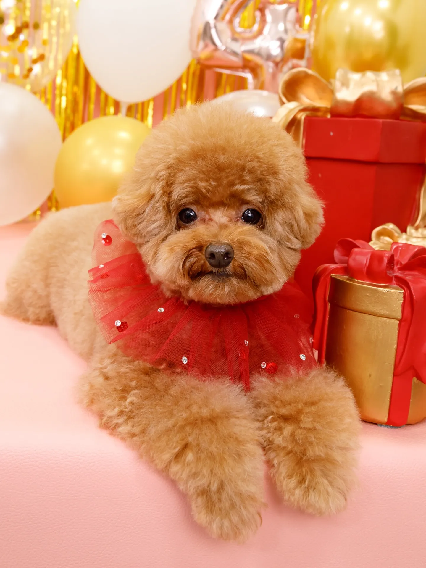 【Birthday Photobofth🌸-ピンク-】