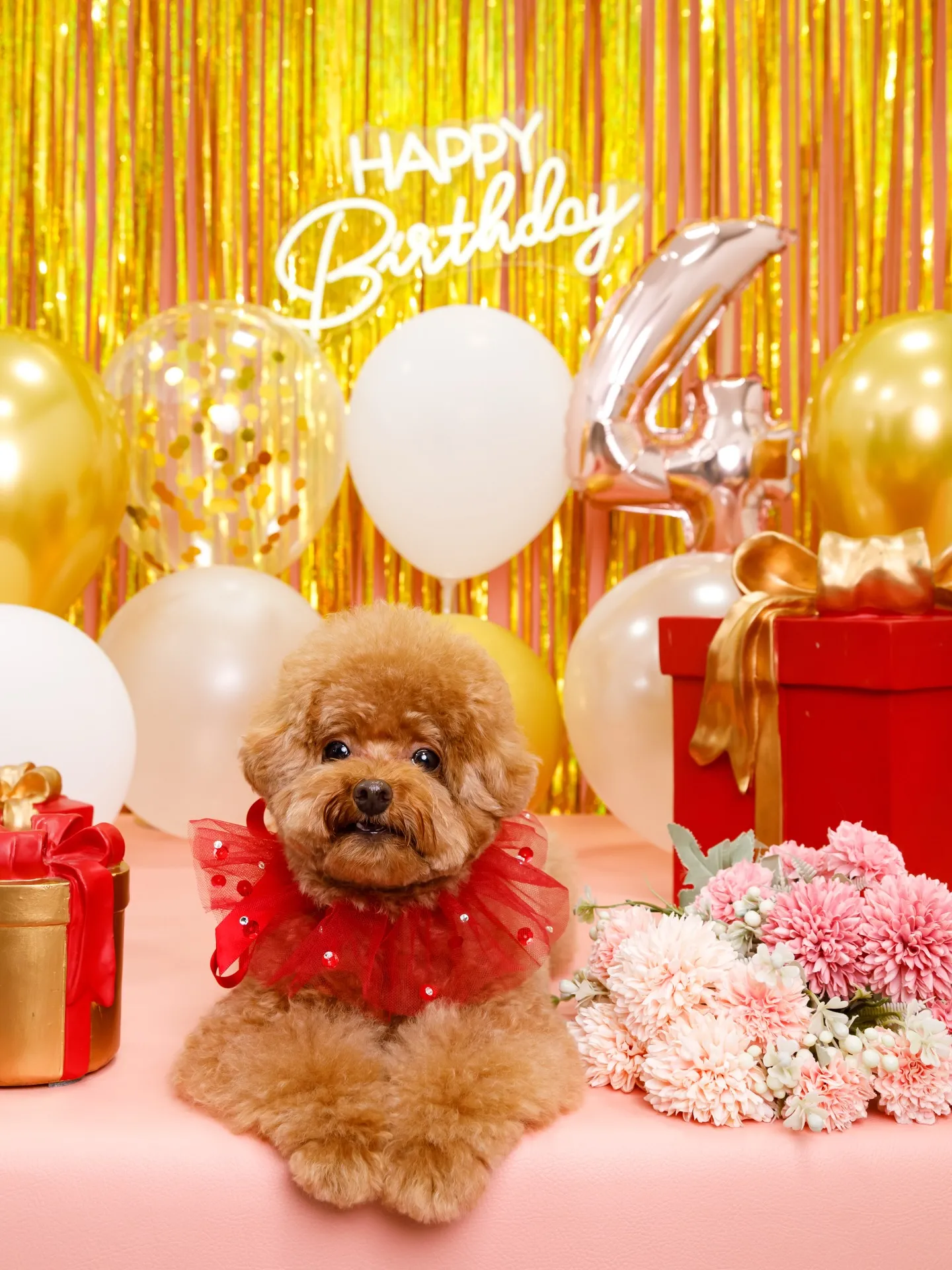 【Birthday Photobofth🌸-ピンク-】