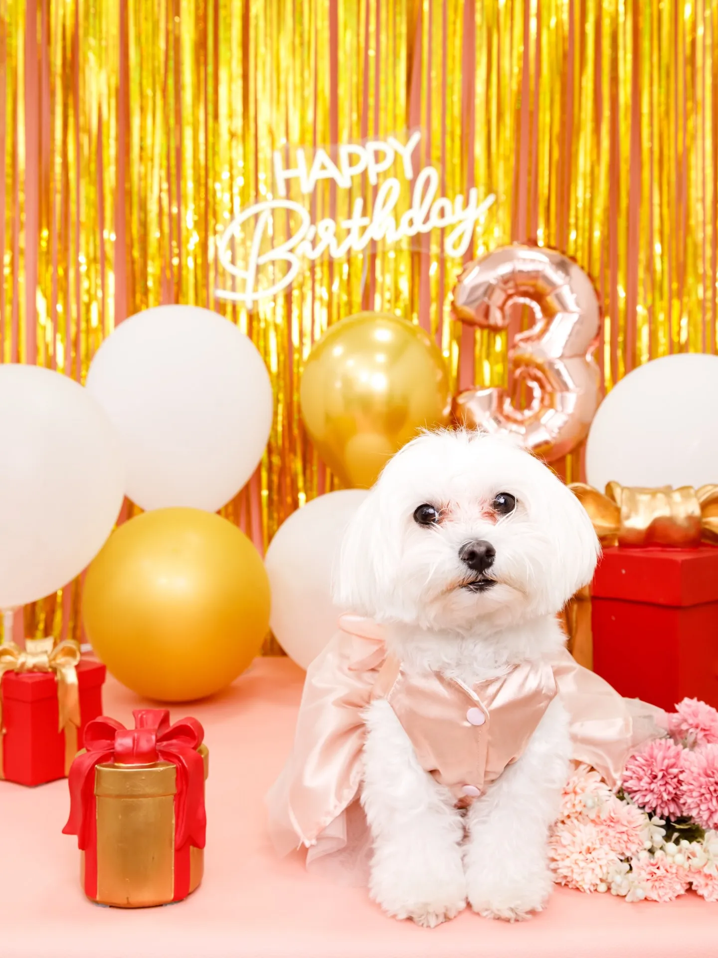 【Birthday Photobofth🌸-ピンク-】