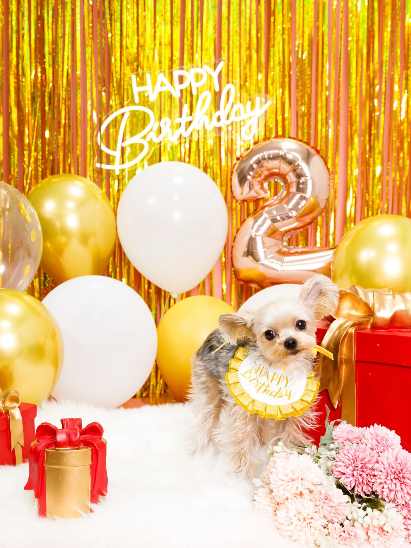 【Birthday Photobofth🌸-ピンク-】