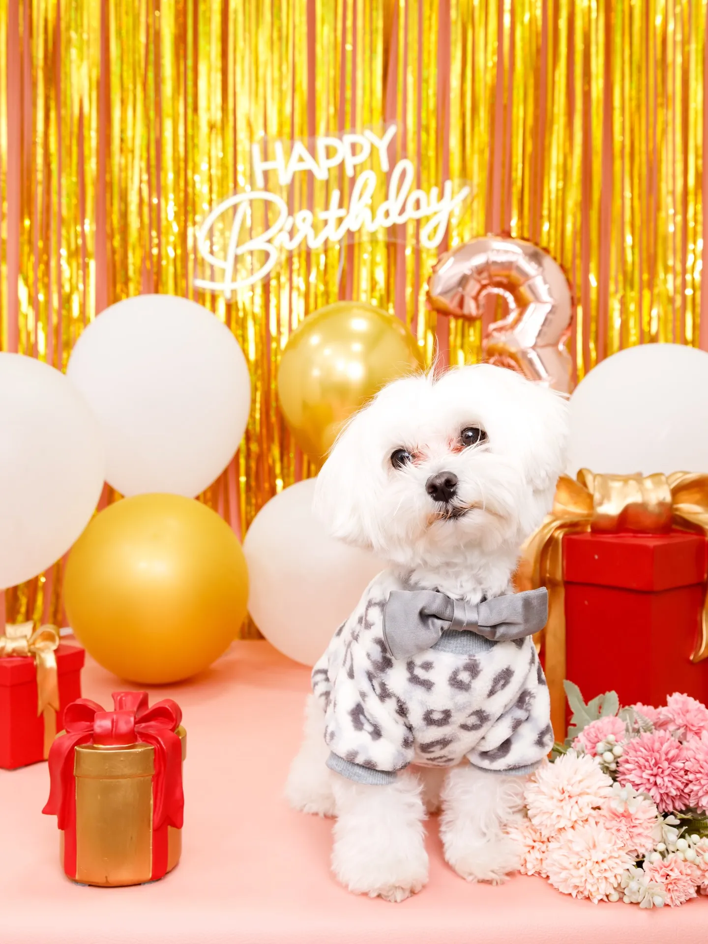 【Birthday Photobofth🌸-ピンク-】