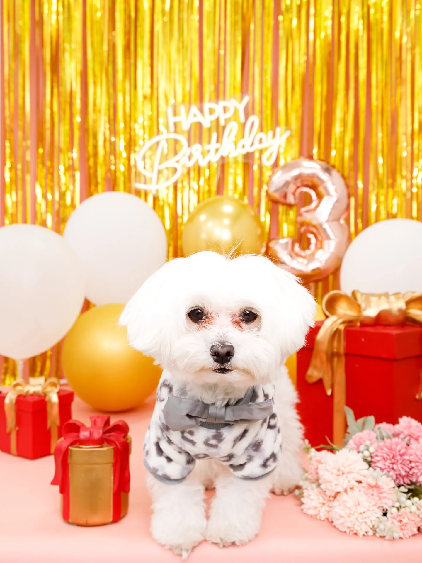 【Birthday Photobofth🌸-ピンク-】