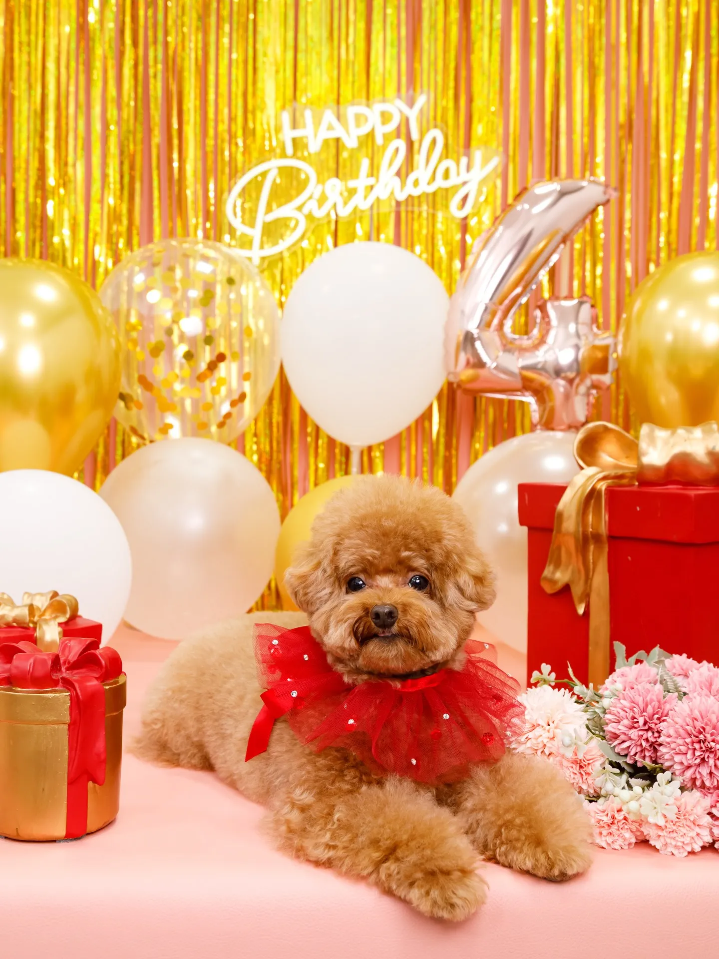 【Birthday Photobofth🌸-ピンク-】