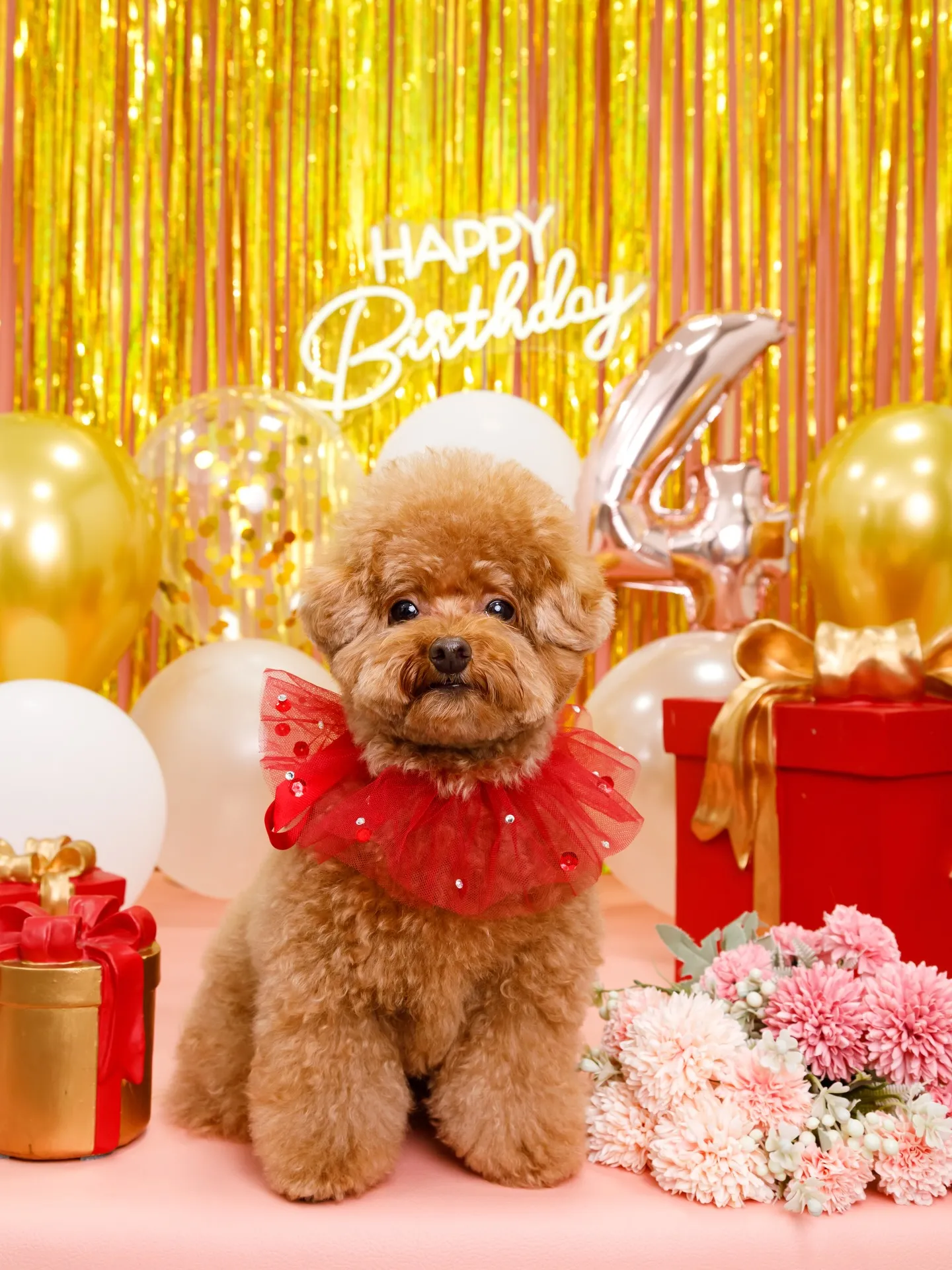 【Birthday Photobofth🌸-ピンク-】