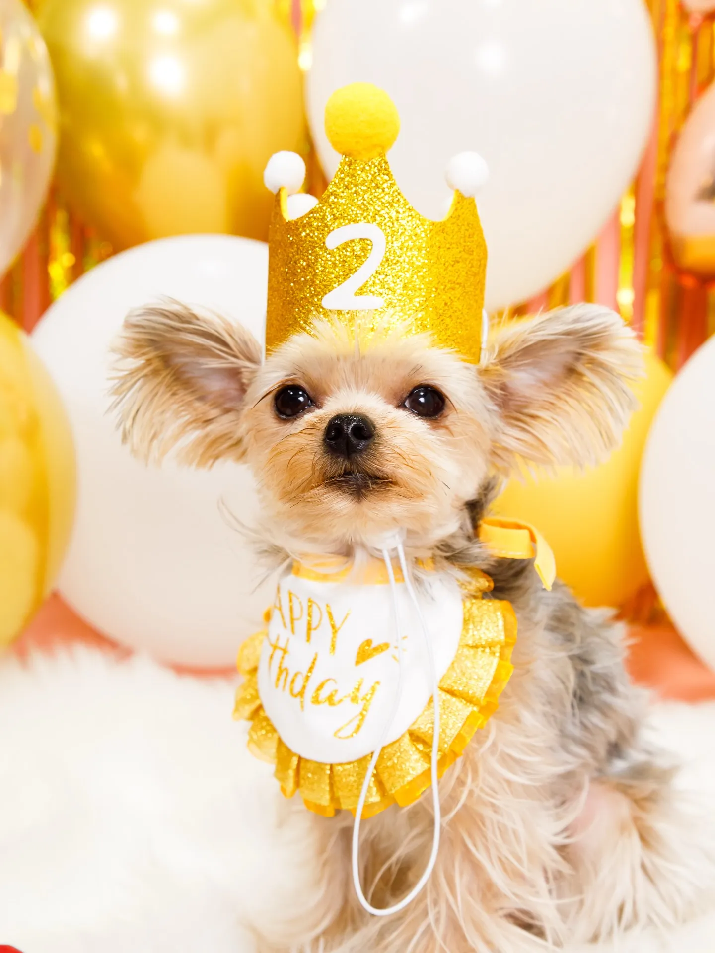 【Birthday Photobofth🌸-ピンク-】