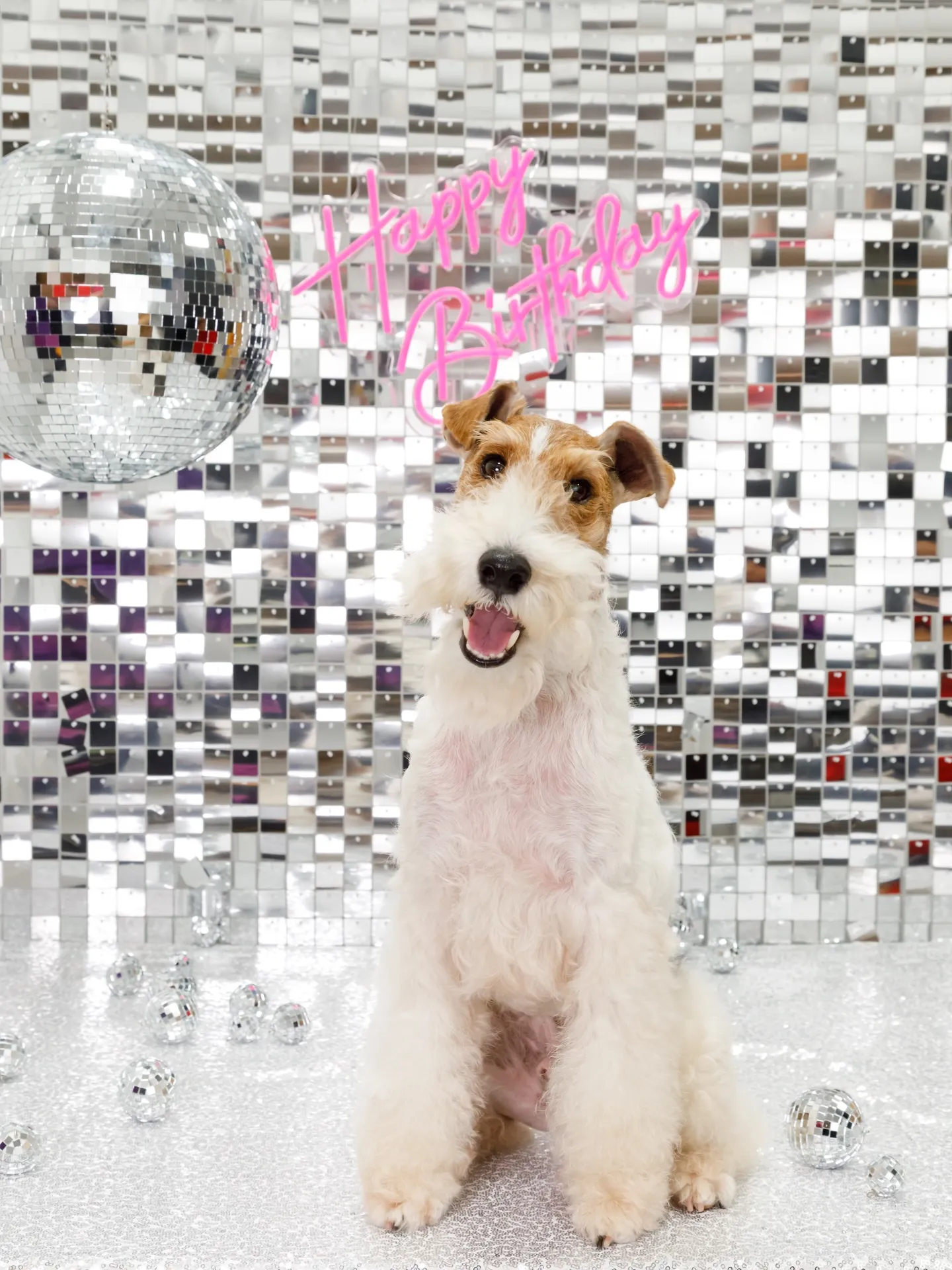 【Birthday Booth -SILVER DISCO🪩...