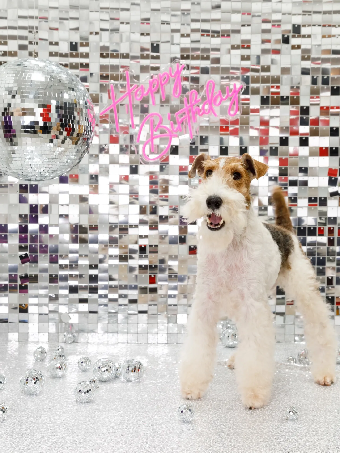 【Birthday Booth -SILVER DISCO🪩...