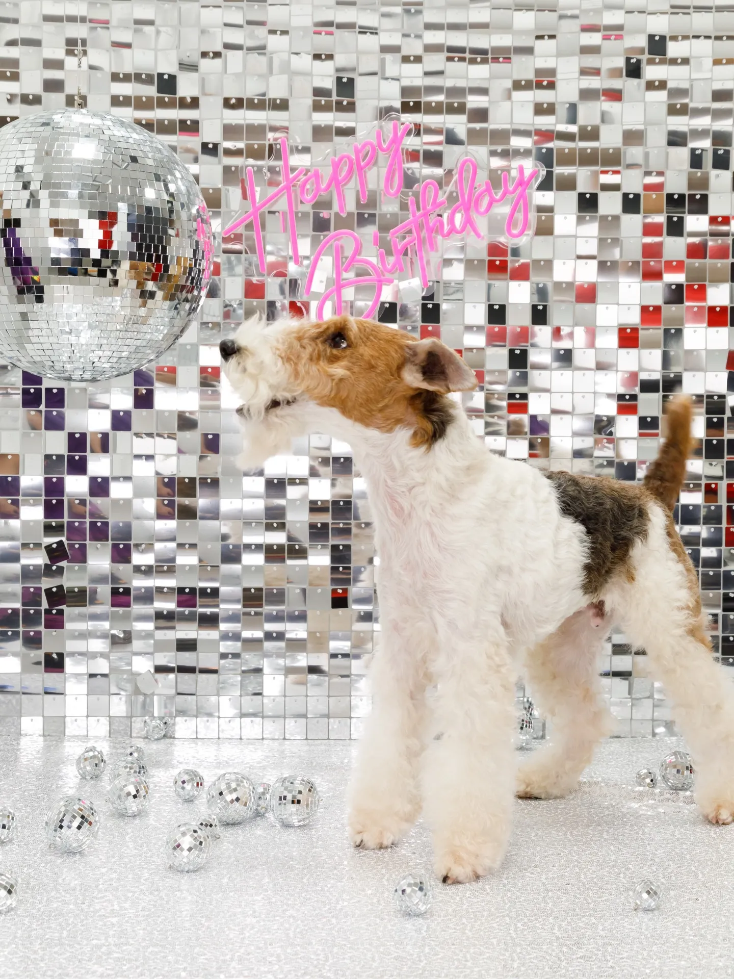 【Birthday Booth -SILVER DISCO🪩...