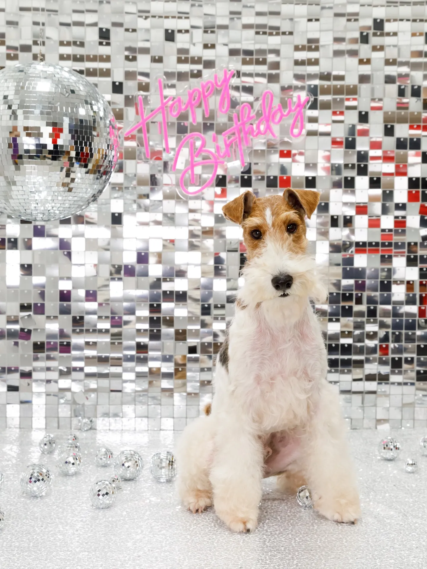 【Birthday Booth -SILVER DISCO🪩...