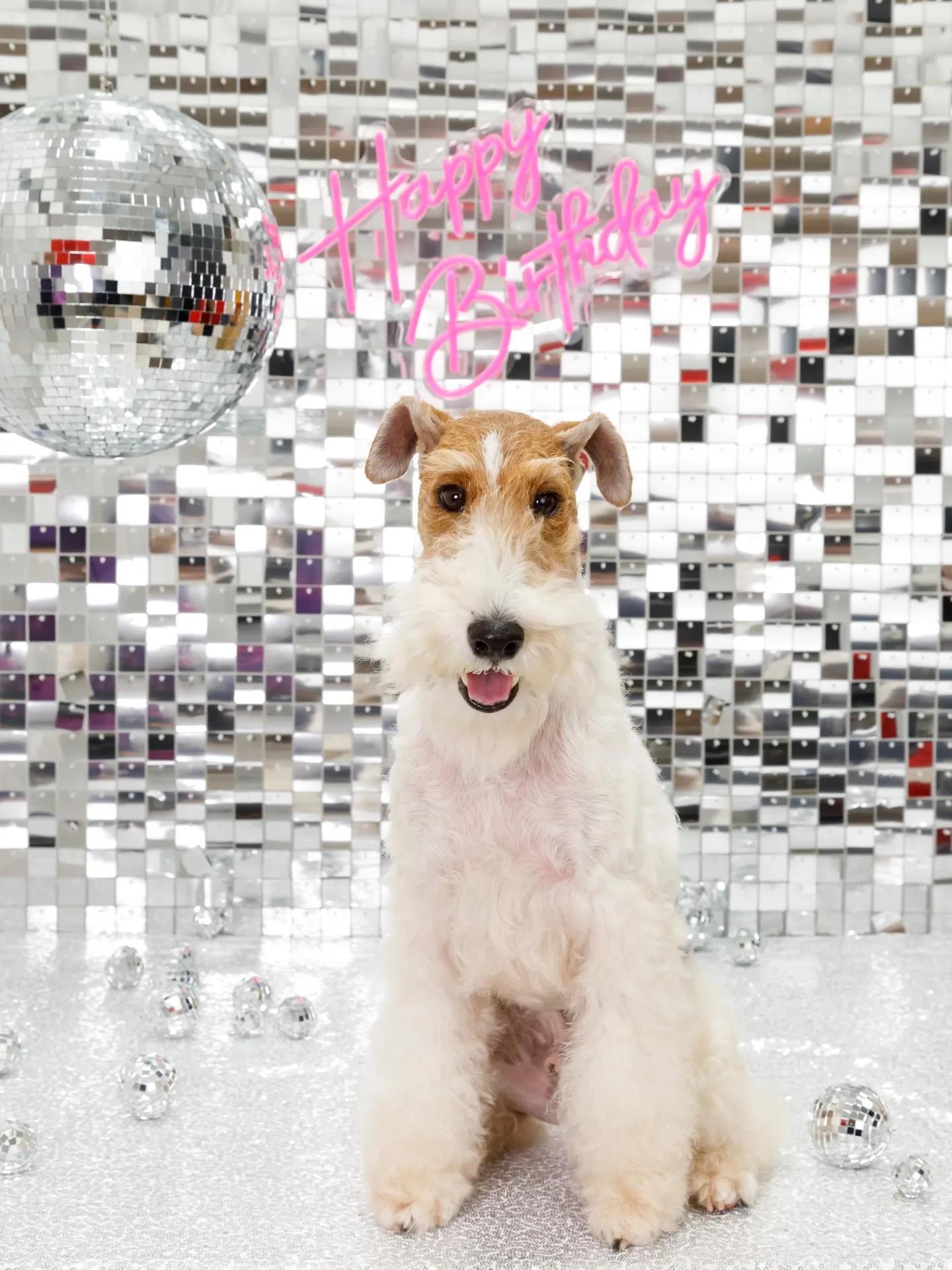 【Birthday Booth -SILVER DISCO🪩...