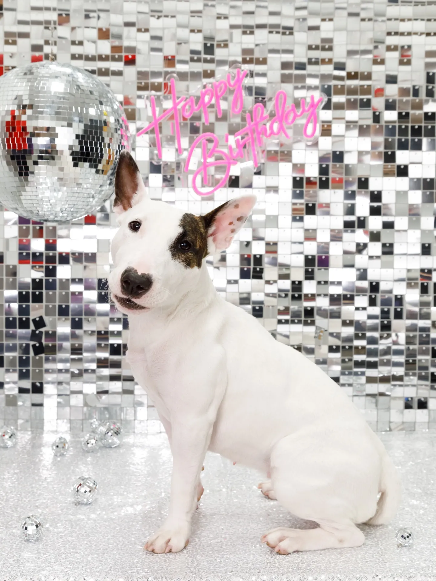 【Birthday Booth -SILVER DISCO🪩...