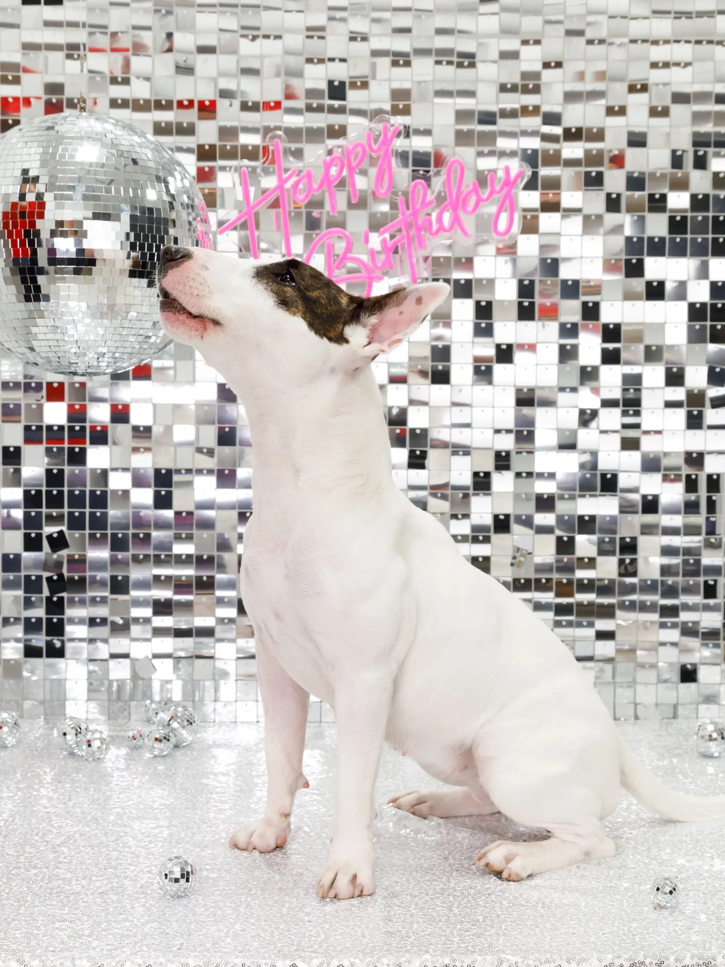 【Birthday Booth -SILVER DISCO🪩...