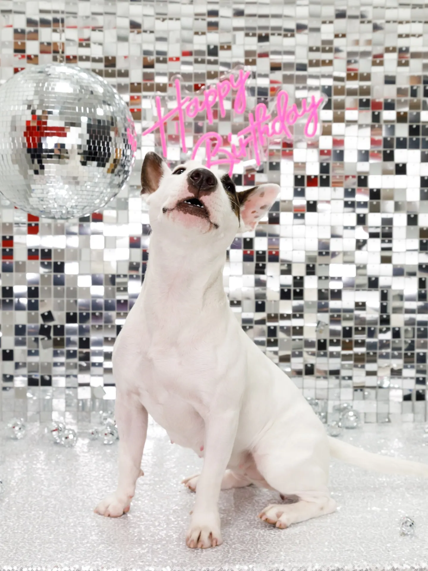 【Birthday Booth -SILVER DISCO🪩...