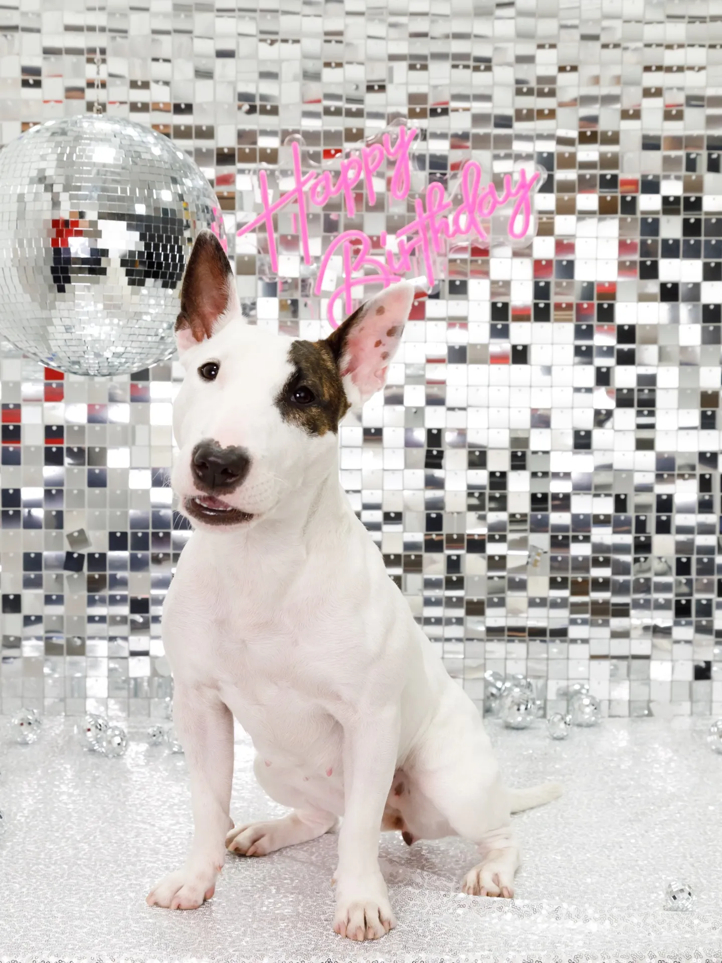 【Birthday Booth -SILVER DISCO🪩...