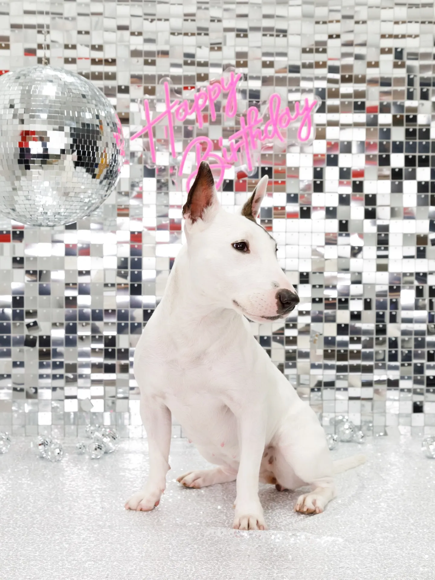 【Birthday Booth -SILVER DISCO🪩...