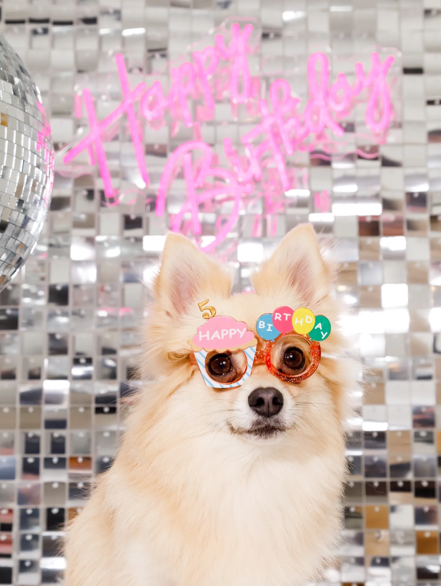 【Birthday Booth -SILVER DISCO🪩...