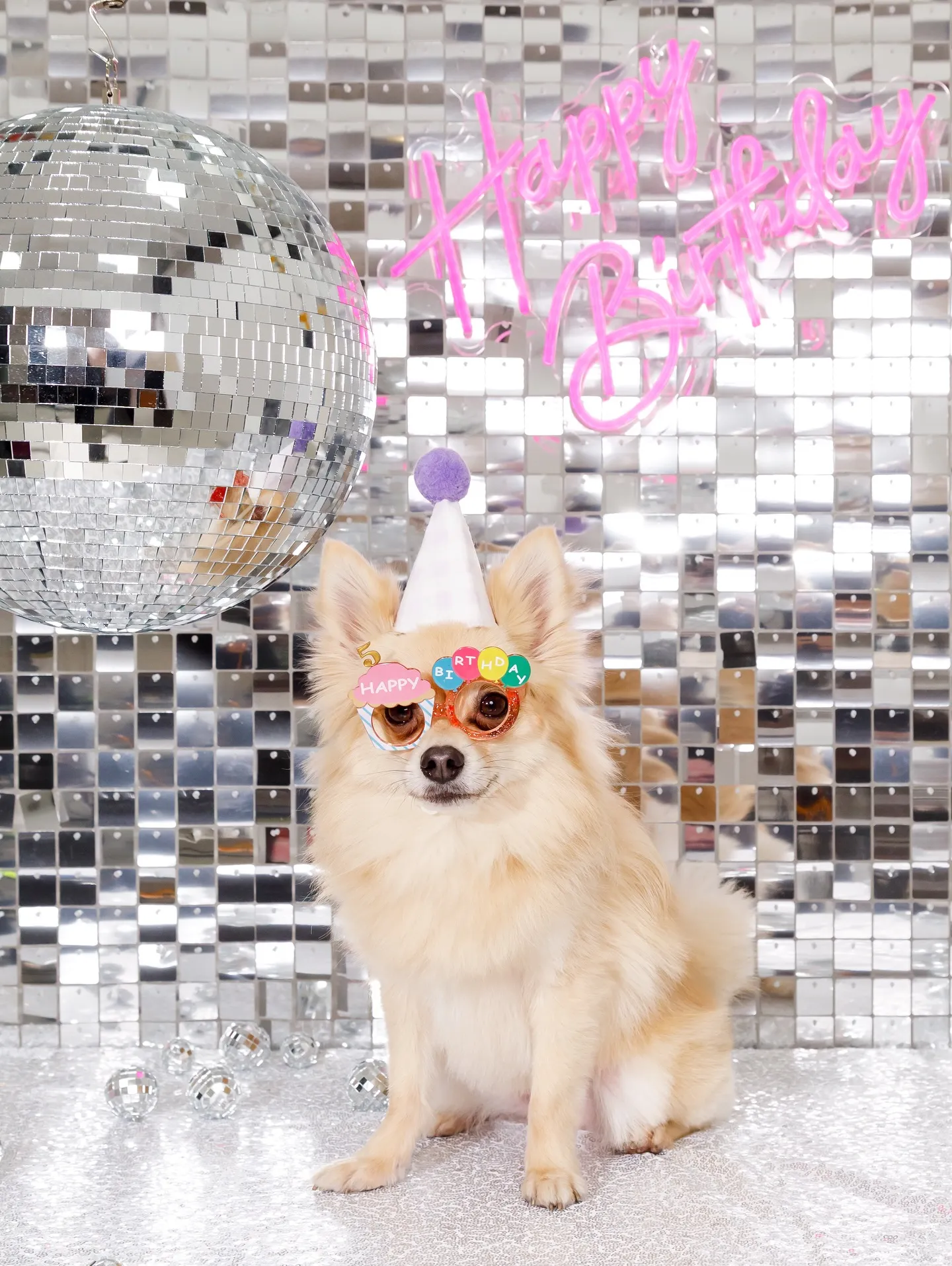 【Birthday Booth -SILVER DISCO🪩...