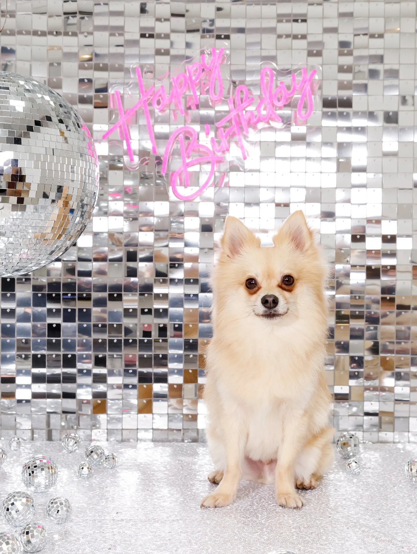 【Birthday Booth -SILVER DISCO🪩...